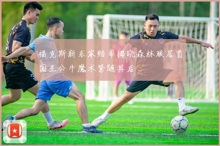 福克斯新东家赔率揭晓森林狼居首国王公牛魔术紧随其后