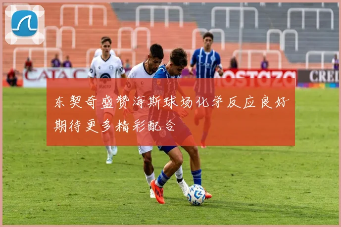 东契奇盛赞海斯球场化学反应良好期待更多精彩配合