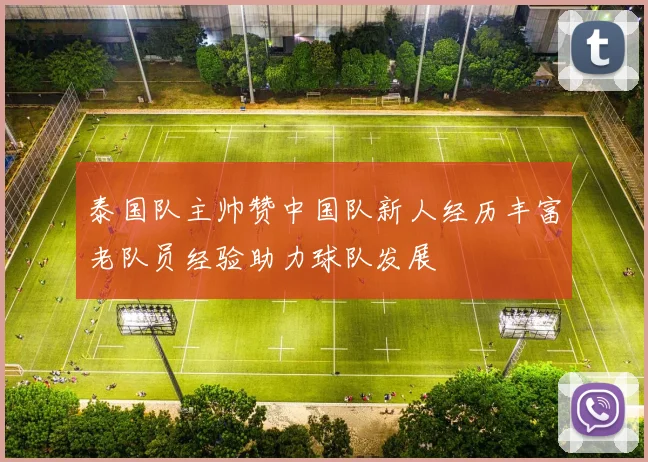 泰国队主帅赞中国队新人经历丰富老队员经验助力球队发展