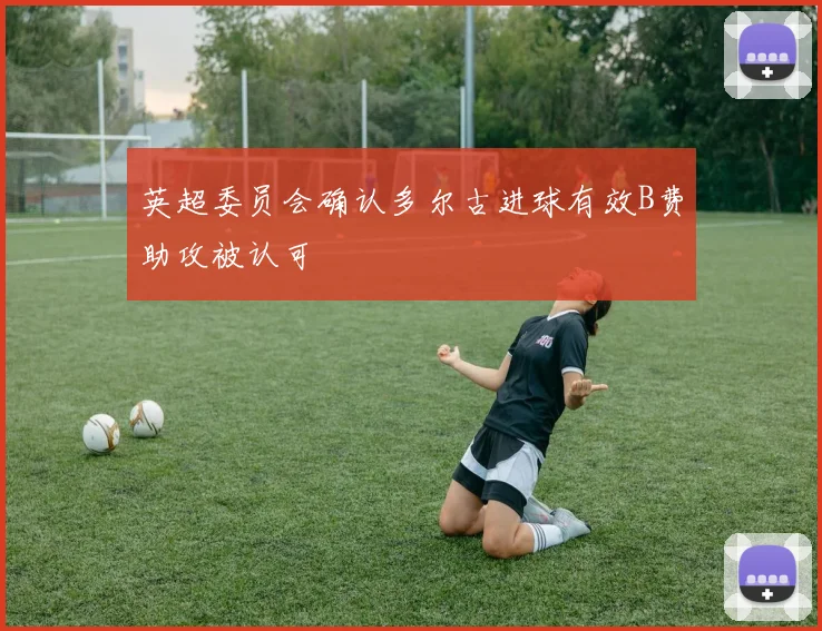 英超委员会确认多尔古进球有效B费助攻被认可